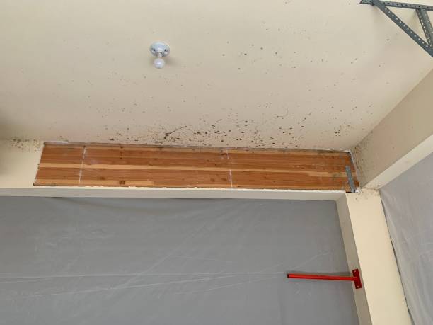 Best Indoor Air Quality Assessment  in Asheboro, NC