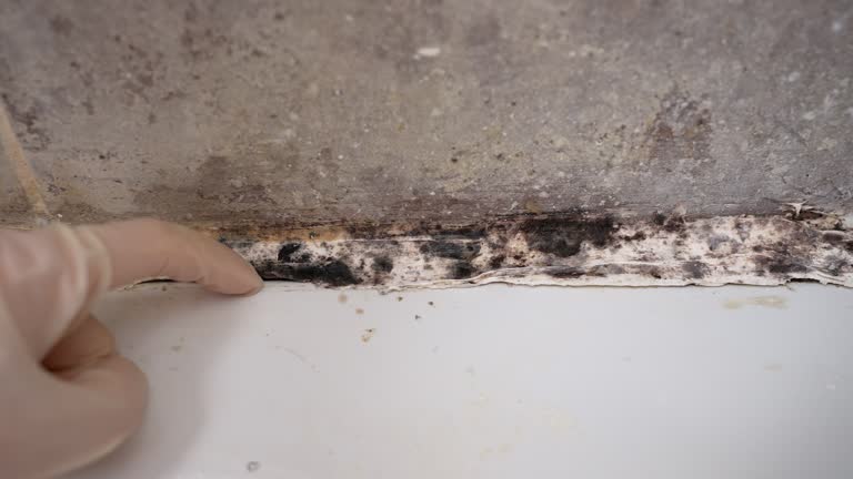 Best Residential Mold Inspection & Testing  in Asheboro, NC